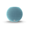 Voice Assistant